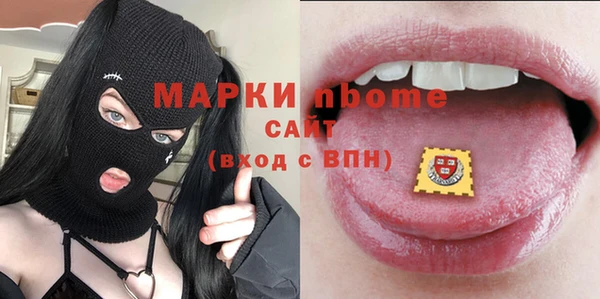 индика Балахна