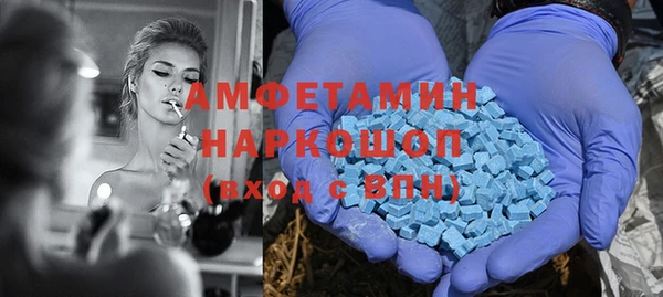 индика Балахна