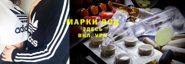 индика Балахна