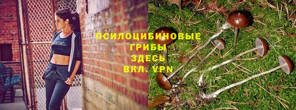 индика Балахна